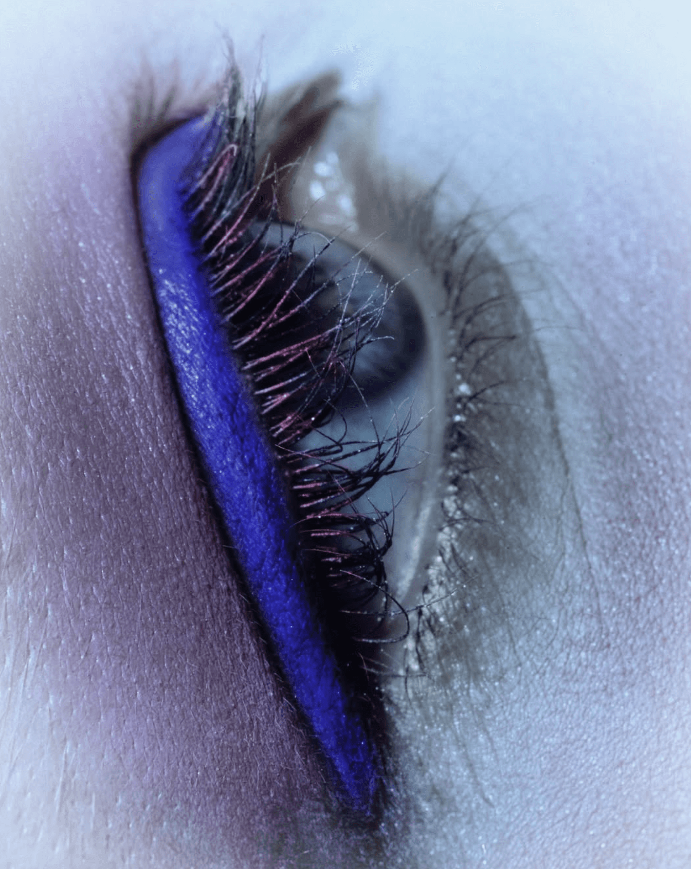 Editorial, Creative Direction, image 4