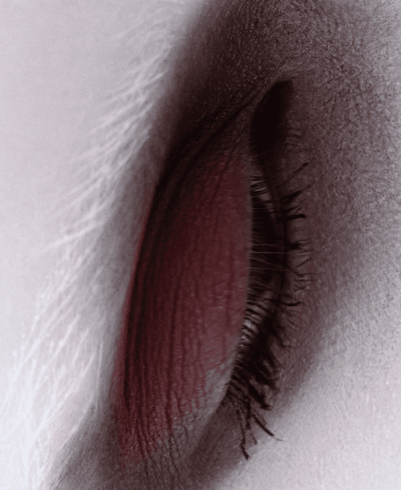Editorial, Creative Direction, image 7