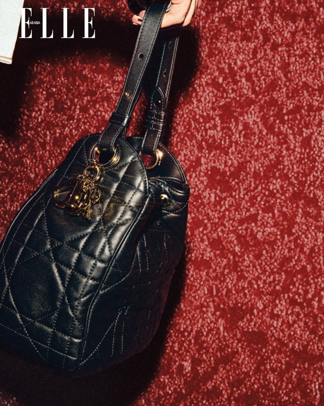 Elle × Dior, Editorial Campaign, image 5